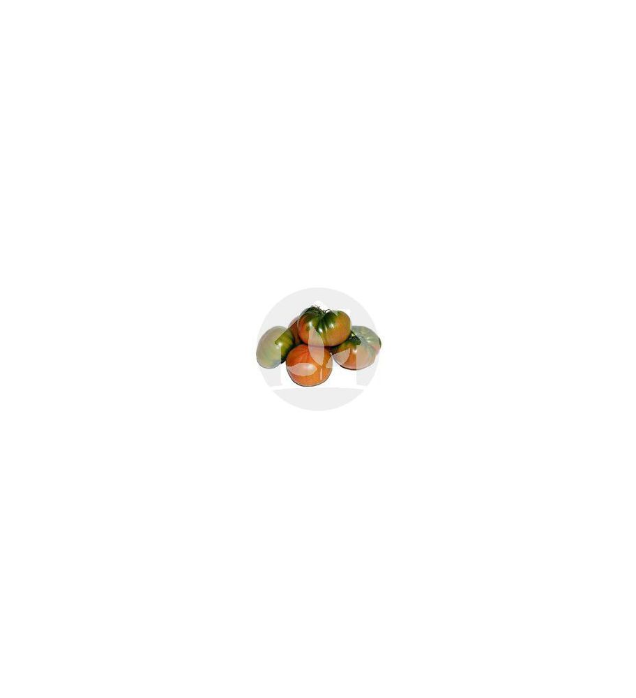 Tomate de caña (Variedad Muchamiel) Tomate de caña (Variedad Muchamiel)