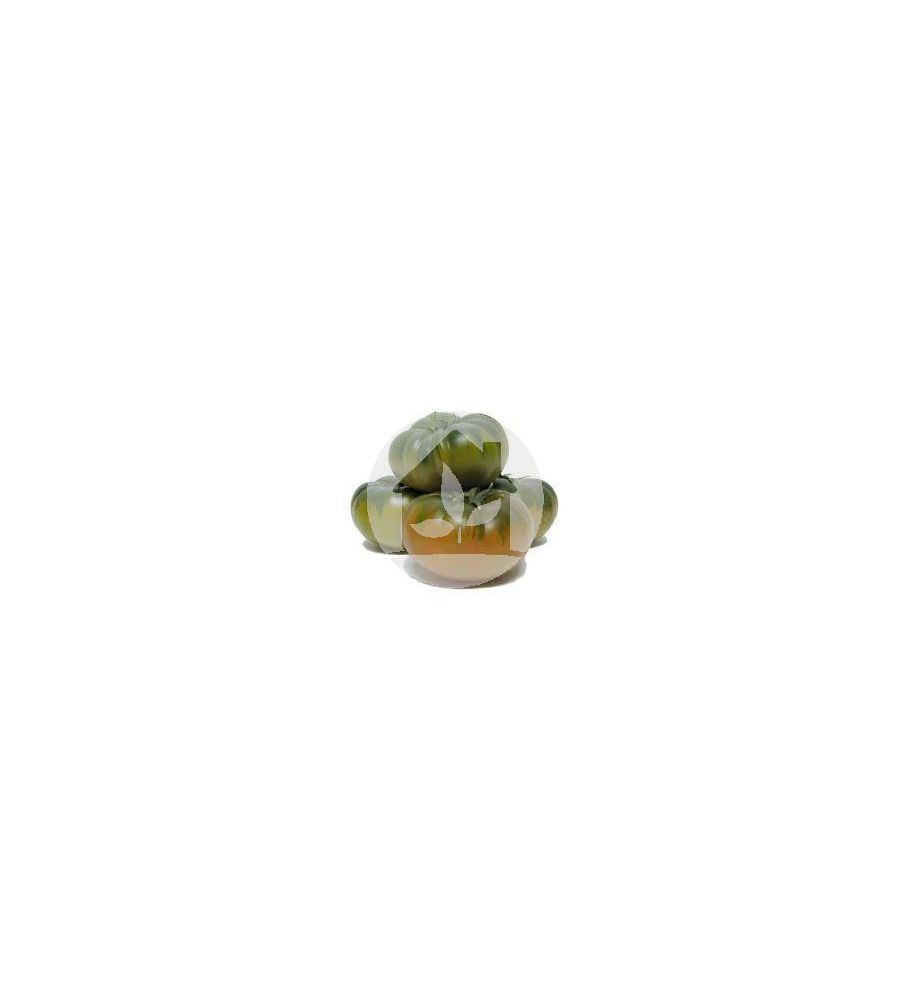 Tomate Marmande Raf Tomate Marmande Raf
