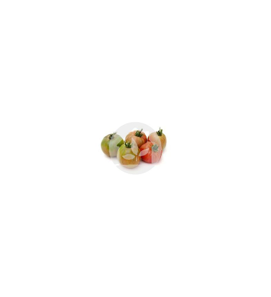 Tomate Valenciano Gordal